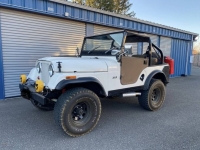 1970 Jeep CJ5 for sale in Michigan (ID-164323)