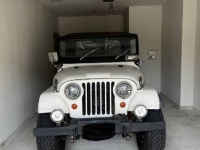1970 Jeep CJ5 for sale in Michigan (ID-164323)
