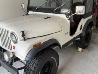 1970 Jeep CJ5 for sale in Michigan (ID-164323)
