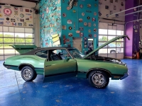 1970 Oldsmobile 442 for sale (ID-119809)