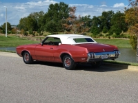1970 Oldsmobile Cutlass for sale (ID-135265)
