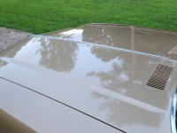 1970 Oldsmobile Cutlass for sale in Michigan (ID-144404)