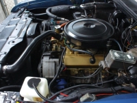 1970 Oldsmobile Cutlass for sale (ID-161858)