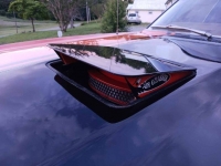 1970 Plymouth Road Runner for sale in Michigan (ID-117342)