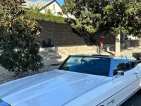1970 Pontiac Catalina for sale in Michigan (ID-124687)