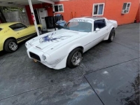 1970 Pontiac Firebird for sale in Michigan (ID-119103)