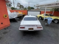 1970 Pontiac Firebird for sale in Michigan (ID-119103)