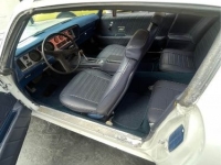 1970 Pontiac Firebird for sale in Michigan (ID-119103)