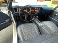 1970 Pontiac Firebird for sale in Michigan (ID-119103)