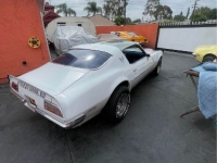 1970 Pontiac Firebird for sale in Michigan (ID-119103)