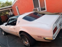 1970 Pontiac Firebird for sale in Michigan (ID-119103)