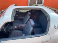 1970 Pontiac Firebird for sale in Michigan (ID-119103)