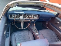 1970 Pontiac Firebird for sale in Michigan (ID-119103)