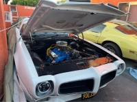 1970 Pontiac Firebird for sale in Michigan (ID-119103)