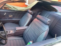1970 Pontiac Firebird for sale in Michigan (ID-119103)