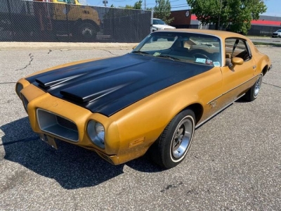 1970 Pontiac Firebird for sale