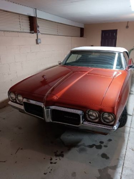 1970 Pontiac LeMans for sale in Michigan (ID-118783)
