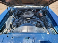 1970 Pontiac LeMans for sale in Michigan (ID-119691)