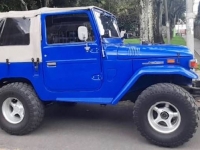 1970 Toyota Land Cruiser for sale in Michigan (ID-125755)