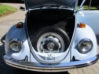 1970 Volkswagen Beetle for sale in Michigan (ID-121126)