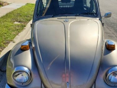 1970 Volkswagen Beetle for sale