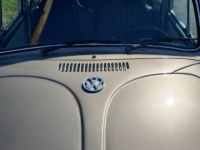 1970 Volkswagen Beetle for sale in Michigan (ID-125618)