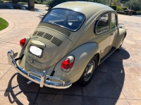 1970 Volkswagen Beetle for sale in Michigan (ID-127304)