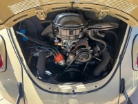 1970 Volkswagen Beetle for sale in Michigan (ID-127304)