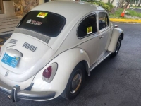 1970 Volkswagen Beetle for sale in Michigan (ID-127646)