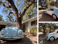 1970 Volkswagen Beetle for sale in Michigan (ID-130976)
