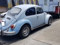 1970 Volkswagen Beetle for sale in Michigan (ID-133878)