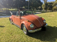 1970 Volkswagen Beetle for sale in Michigan (ID-134838)