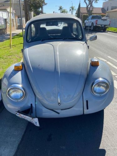 1970 Volkswagen Beetle for sale in Michigan (ID-138720)