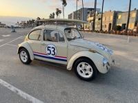 1970 Volkswagen Beetle for sale in Michigan (ID-141990)