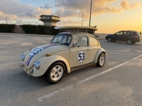 1970 Volkswagen Beetle for sale in Michigan (ID-141990)