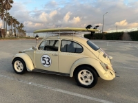 1970 Volkswagen Beetle for sale in Michigan (ID-141990)
