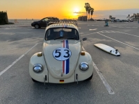 1970 Volkswagen Beetle for sale in Michigan (ID-141990)