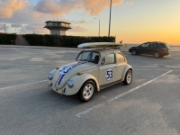 1970 Volkswagen Beetle for sale in Michigan (ID-141990)