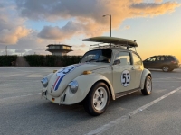 1970 Volkswagen Beetle for sale in Michigan (ID-141990)
