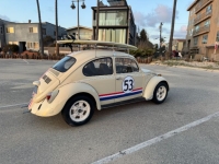 1970 Volkswagen Beetle for sale in Michigan (ID-141990)