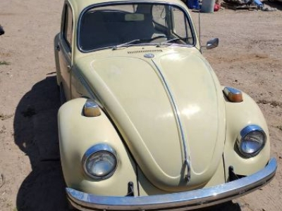1970 Volkswagen Beetle for sale