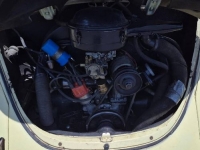 1970 Volkswagen Beetle for sale in Michigan (ID-145484)
