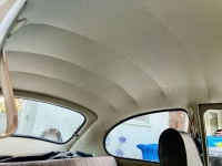 1970 Volkswagen Beetle for sale in Michigan (ID-146407)