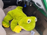 1970 Volkswagen Squareback for sale in Michigan (ID-154798)