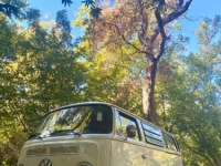 1970 Volkswagen Westfalia for sale in Michigan (ID-120913)