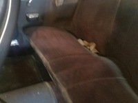 1971 AMC Javelin for sale in Estevan, Saskatchewan (ID-98277)