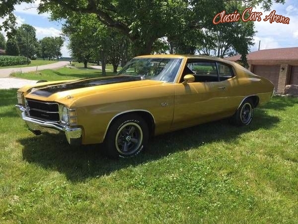 1971 Chevrolet Chevelle SS for sale in Ohio (ID-20353) 1971 Chevrolet Chevelle SS for sale in Ohio (ID-20353)