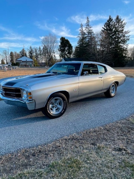 1971 Chevrolet Chevelle for sale in Riverhead, New York (ID-87804)