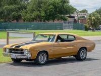 1971 Chevrolet Chevelle SS for sale (ID-144849)