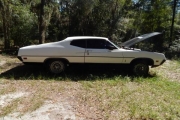 1971 Ford Torino Gt for sale